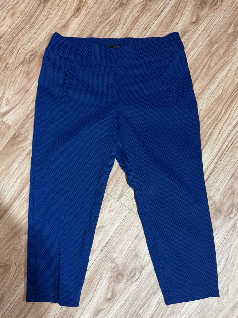 Apt 9 Essentials Women's Royal Blue Textured Ankle Pants - Picture 6 of 11